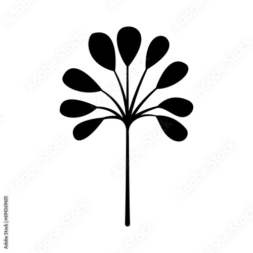 Wild plants