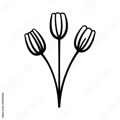 Wild Flower. Wild plants