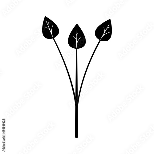 Wild plants