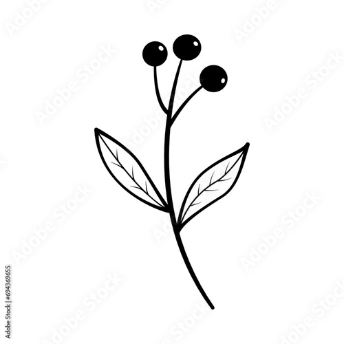 Wild Flower. Wild plants