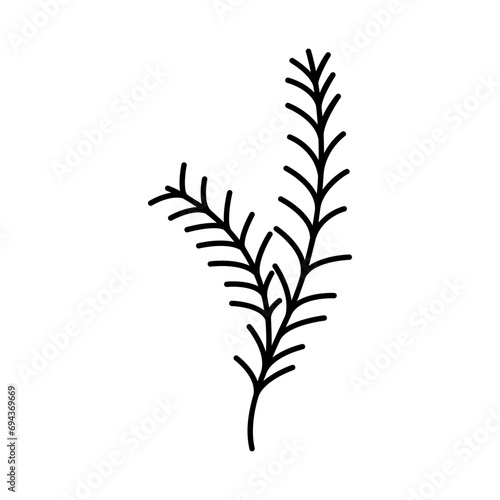 Wild plants