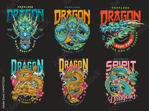 MMA dragon colorful set flyer
