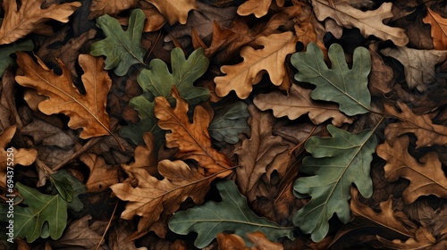 Texture of dry oak leaves. Autumn background with fallen leaves.