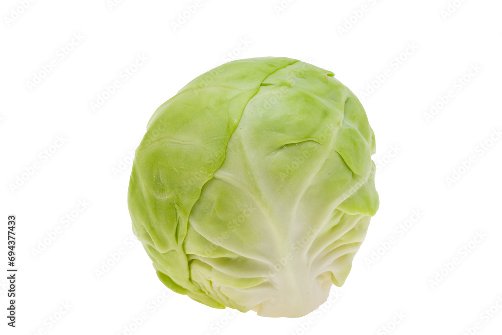Brussels sprouts isolated Brussels sprouts isolated