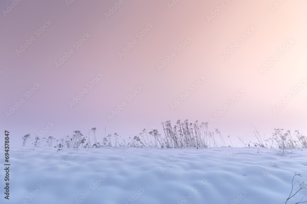 Krajobraz zimowy, różowy mglisty świt (Winter landscape, foggy dawn) - obrazy, fototapety, plakaty 
