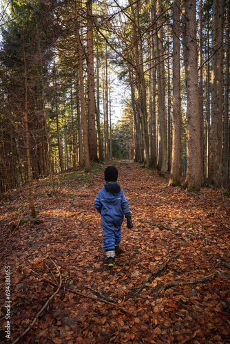Child in a autumn colored forest