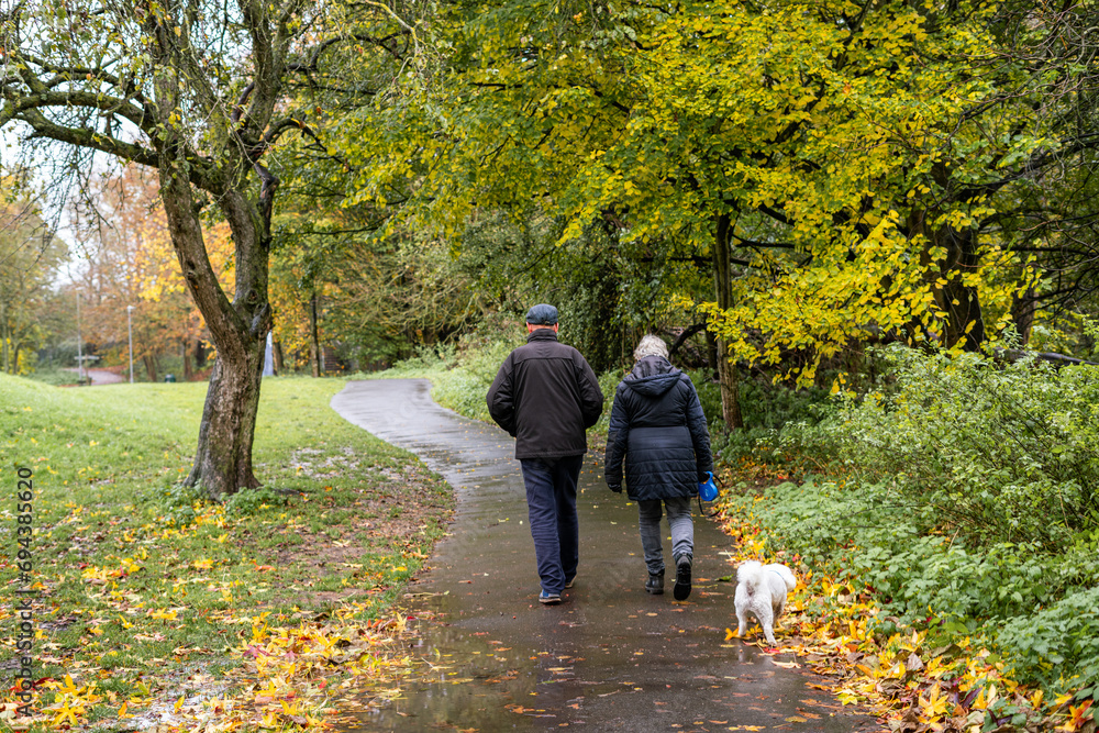 Obraz premium An old couple walking their dog in a public park during autumn season