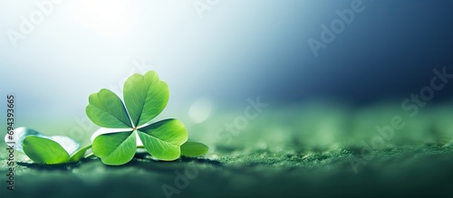 Four Leaf Clover symbolizes faith, hope, love, and luck, and is a symbolic representation of dreams. photo