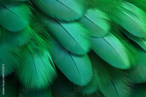 Vivid colours, green feathers. Abstract creative background. Fashion concept. Generative AI  © The Picture Show