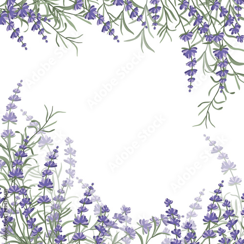 Floral purple-lavender border made of lavender flowers and leaves, for the design of postcards, invitations, banners, packaging and wallpaper. A frame for your design. Vector illustration