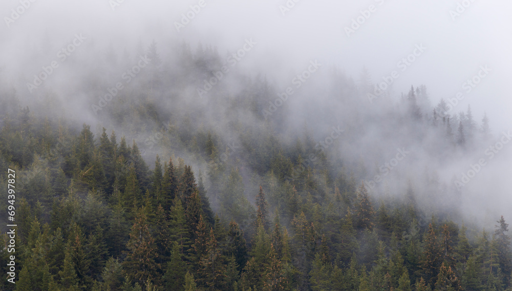 Beautiful pine forest in the fog. Beautiful winter panoramic mountain landscape. Bansko Alpine Ski Resort, Bulgaria. Pirin mountain. Beautiful pine forest in the fog. Beautiful winter panoramic mountain landscape. Bansko Alpine Ski Resort, Bulgaria. Pirin mountain.