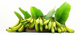 Banana tree species include Kluai Tani Dang, Musa balbisiana Colla, and Musa martini Van Geert.