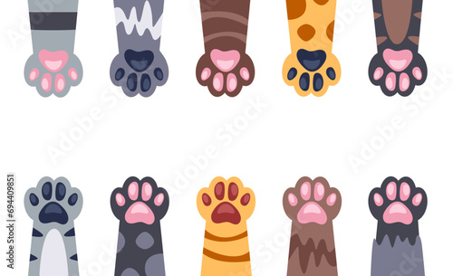 Cat paw animal pet cute kitty concept. Vector flat graphic design illustration