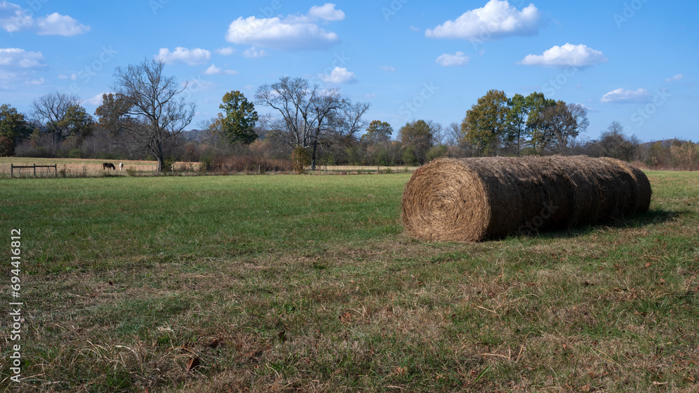 Hay rolls in a Tennessee field with horses