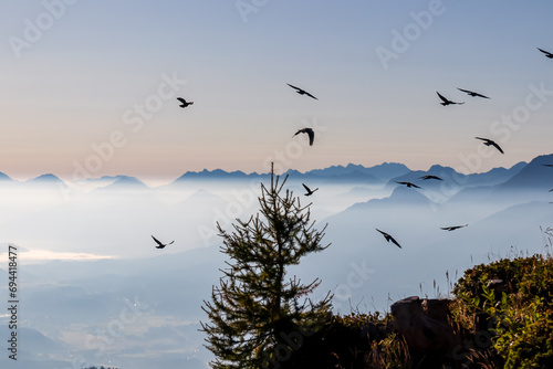 Group of black birds flying around summit of Dobratsch, Villacher Alpe, Carinthia, Austria, Europe. Silhouette of endless mountain range covered by mystical fog in valley. Serenity and freedom concept photo