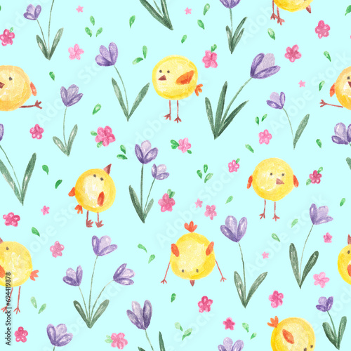 Fototapeta Naklejka Na Ścianę i Meble -  Little cute cartoon yellow chicks and fields with violet purple crocus flowers and pink florets.Spring natural botanical background on blue,easter backdrop