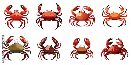 Vector illustration of multiple crabs