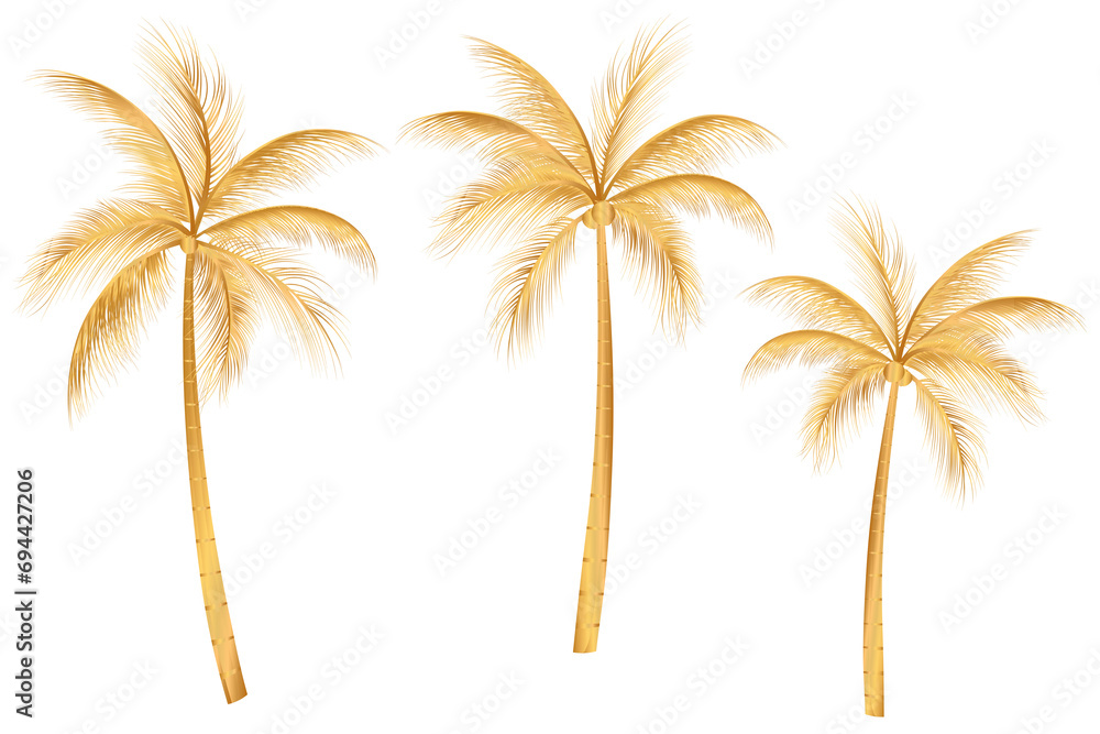 gold coconut tree vector png