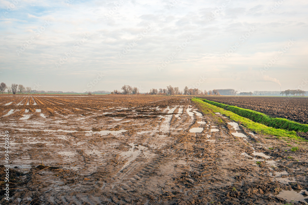 Landscape in the autumn season. It has rained for a long time and there are puddles in the field. Some of the potatoes still have to be harvested, but the soil is too wet for agricultural vehicles.