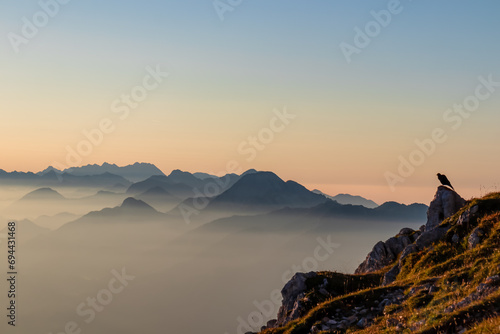 Black bird sitting on rock with scenic sunrise view from Dobratsch on Julian Alps and Karawanks in Carinthia, Austria, Europe. Silhouette of endless mountain ranges covered by mystical fog in valley