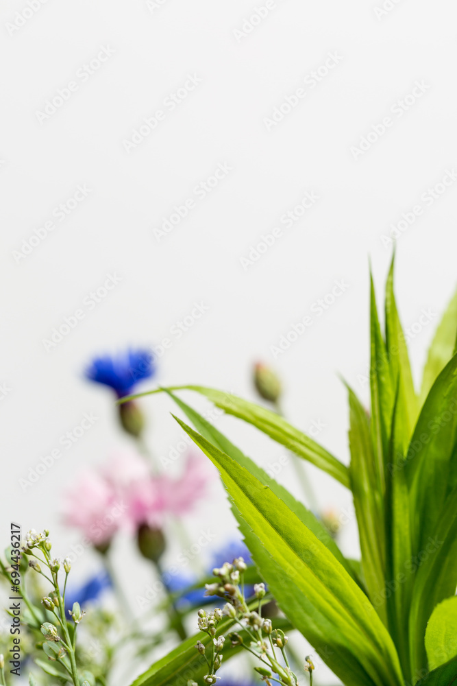 Beautiful wild flowers on a white background