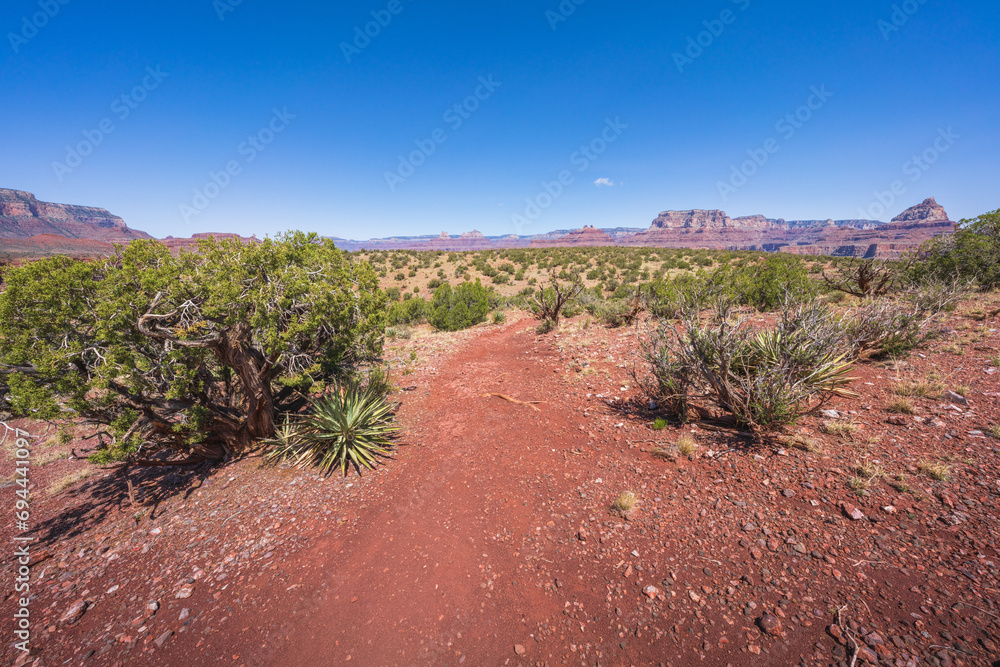 hiking the grandview trail in the grand canyon national park, arizona, usa