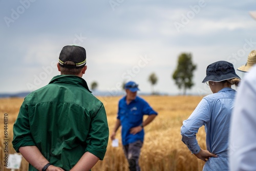 agricultural field day with a group of farmer growing wheat and barley cereal crops. learning about agriculture practices