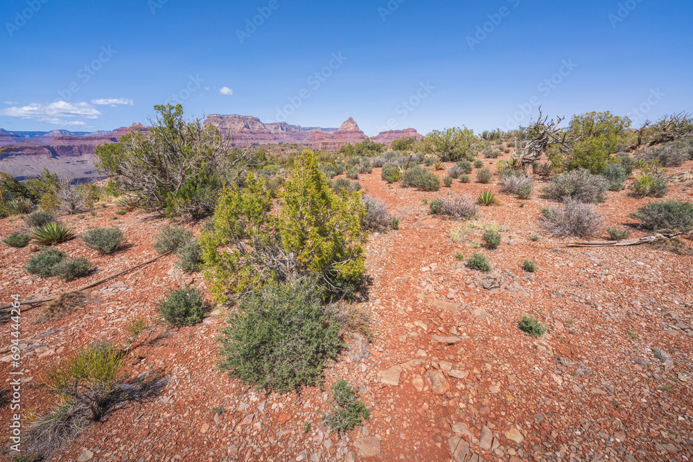 hiking the grandview trail in the grand canyon national park, arizona, usa