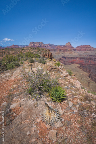 hiking the grandview trail in the grand canyon national park, arizona, usa