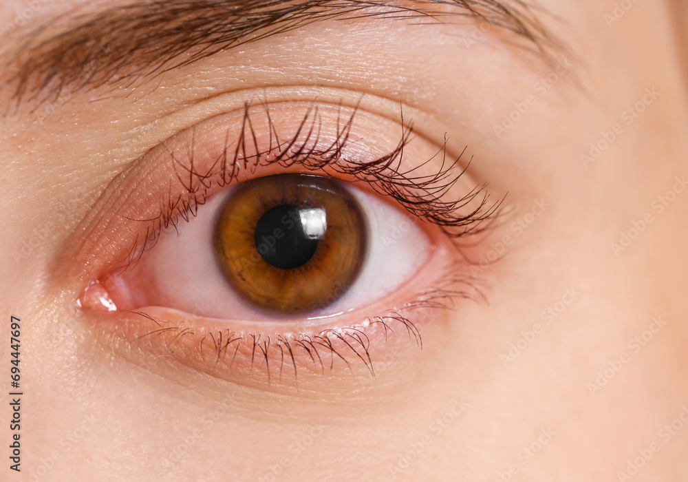 Fototapeta premium Young woman with brown eyes, close up