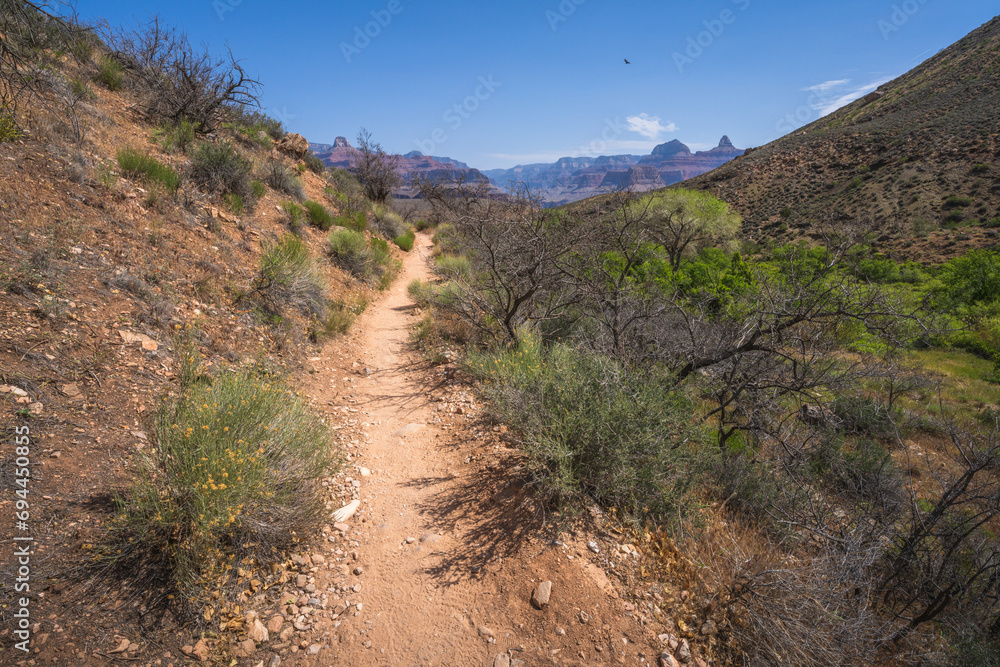 hiking the tonto trail in the grand canyon national park, arizona, usa