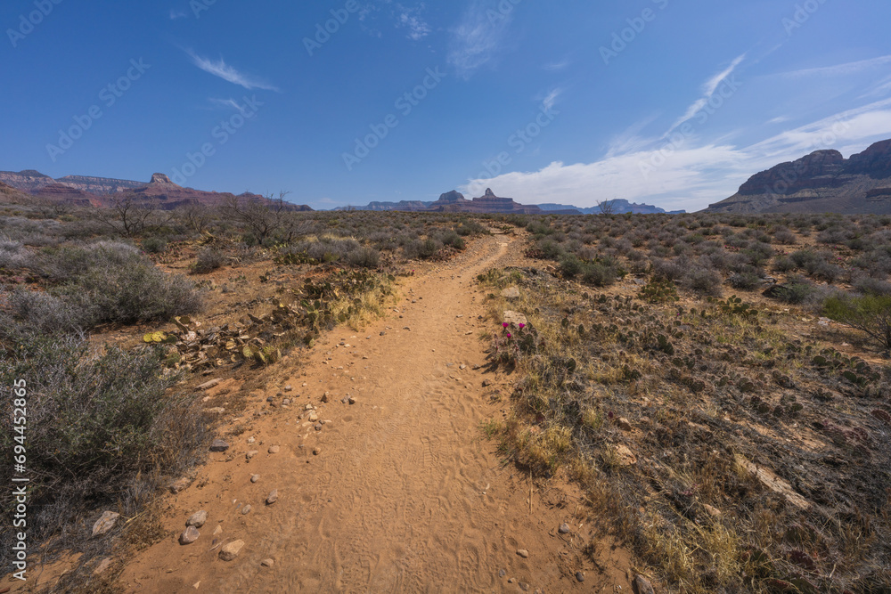 hiking the tonto trail in the grand canyon national park, arizona, usa