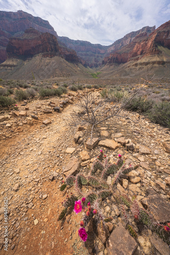 Obraz na płótnie hiking the tonto trail in the grand canyon national park, arizona, usa w salonie