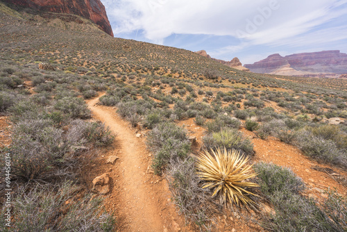 Obraz na płótnie hiking the tonto trail in the grand canyon national park, arizona, usa w salonie