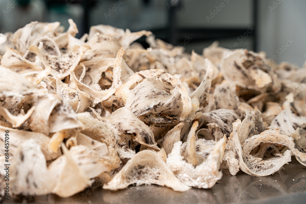 Raw edible bird's nest materials for tradition chinese medicine. Swallow nest the traditional chinese delicacy. Raw edible bird's nest materials for tradition chinese medicine. Swallow nest the traditional chinese delicacy.