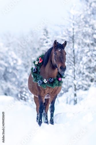 A festive decorated huzule horse wearing a christmas wreath in front of a snowy winter landscape outdoors