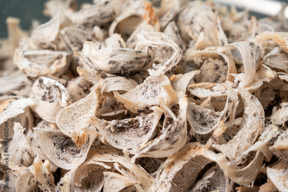 Raw edible bird's nest materials for tradition chinese medicine. Swallow nest the traditional chinese delicacy.