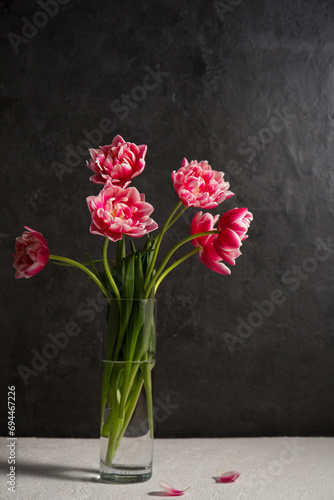 Beautiful bouquet of pink terry tulips in a glass vase on a dark background