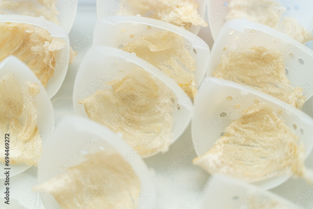 Raw edible bird's nest materials for tradition chinese medicine. Swallow nest the traditional chinese delicacy.