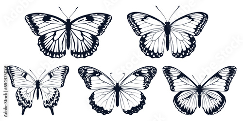 Black monochrome Butterfly Silhouettes Vector art photo