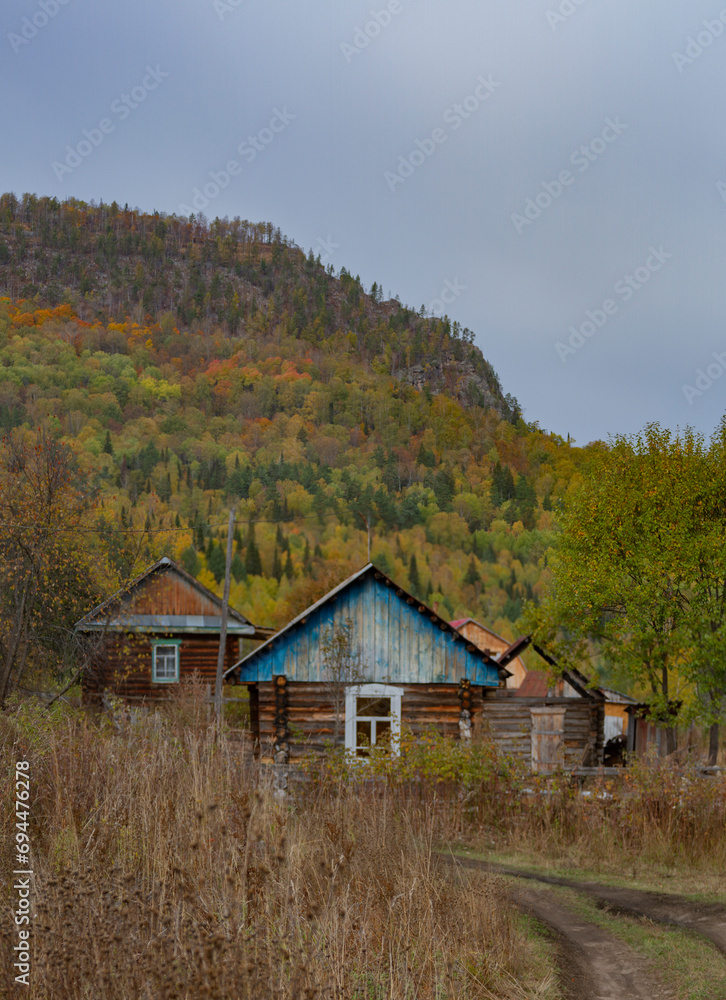 Rural landscape. Village houses against the backdrop of a picturesque autumn forest