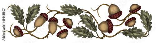 Oak branch with acorns and leaves hand drawn illustration in decorative vintage style Border