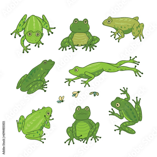 Set of cartoon doodle vector frogs animals.