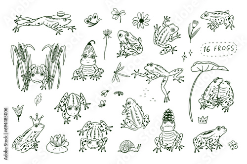 Set of cartoon doodle line vector frogs animals.