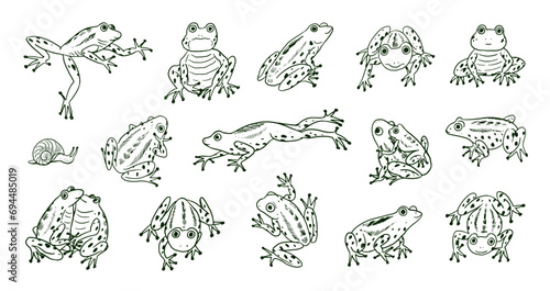 Set of cartoon doodle line vector frogs animals.