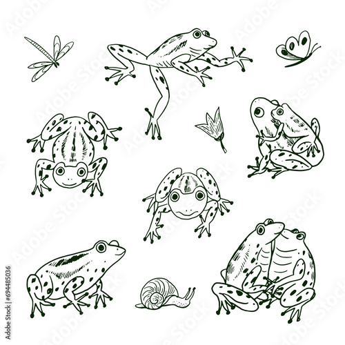 Set of cartoon doodle line vector frogs animals.