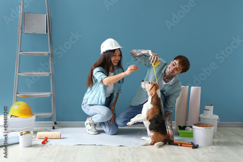 Fototapeta Naklejka Na Ścianę i Meble -  Young couple with tape measure and Beagle dog near blue wall during repair in their new house