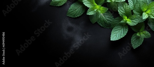 Menthol and mint leaves on black table, seen from above. photo