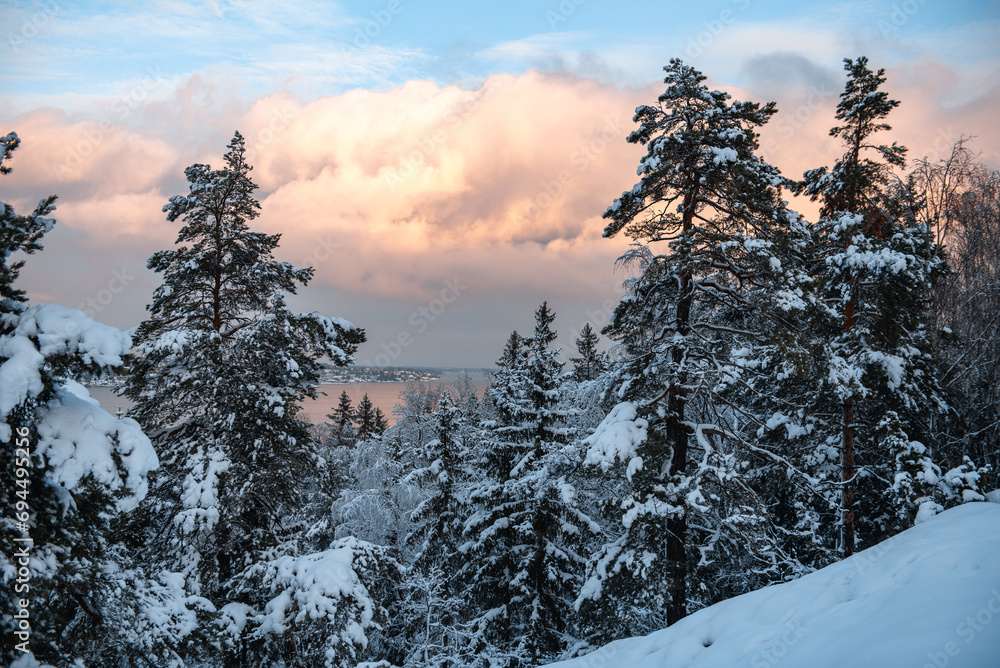 view of lake malaren in sweden, snow-covered trees and pines. winter landscape.
