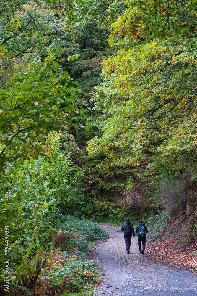 Dos senderistas andan en la selva de Irati, Navarra, España. Dos senderistas andan en la selva de Irati, Navarra, España.